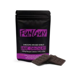 Buy FunGuy Mushroom Dark Chocolate Bar online New Zealand
