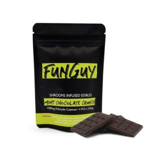 Buy FunGuy Mint Chocolate Crunch Bar online New Zealand