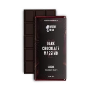 Buy MasterMind Dark Mushroom Chocolate Massimo Online New Zealand