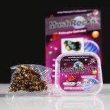 Buy Mushrocks Truffles Online New Zealand