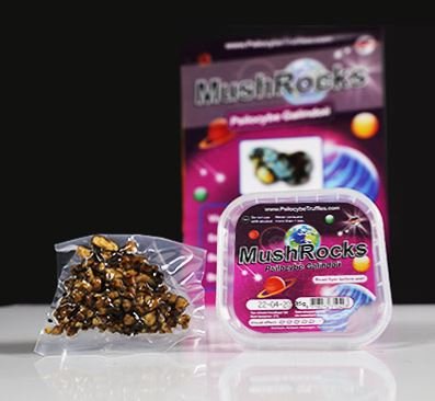 Mushrocks-Magic-Truffles Buy Mushrocks Truffles Online New Zealand