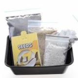 Buy Peyote Grow Kit in New Zealand
