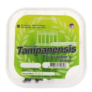 Buy Tampanensis Magic Truffles online New Zealand