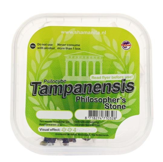 Tampanensis-Magic-Truffles Buy Tampanensis Magic Truffles online New Zealand