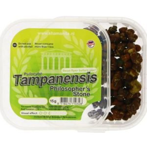 Buy Tampanensis Magic Truffles online New Zealand