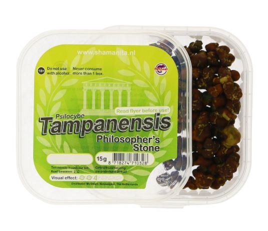 Tampanensis-Magic-Truffles1 Buy Tampanensis Magic Truffles online New Zealand